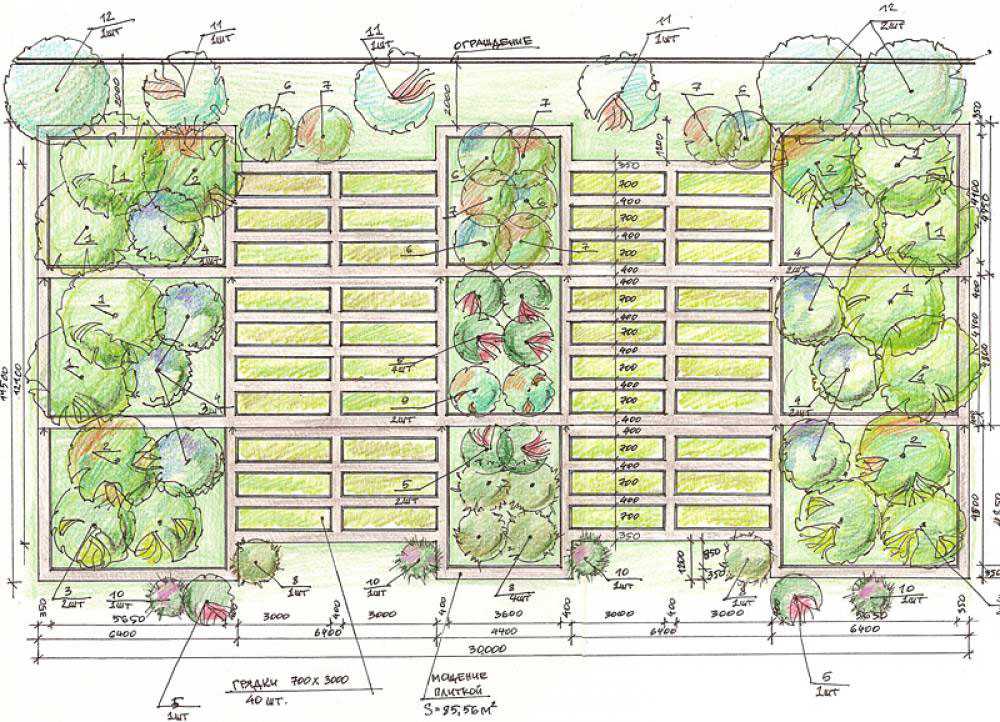 Расположение огорода на участке: Планировка огорода: как правильно .