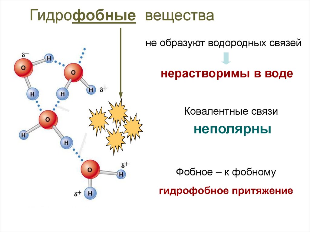 Характеристика гидрофобных связей. Гидрофильные и гидрофобные вещества.