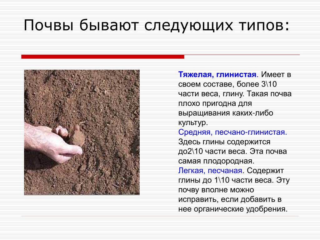 Глинистые грунты определение. Почвы бывают. Какие бывают почвы. Глинистые и песчаные почвы. Какие существуют виды почв.