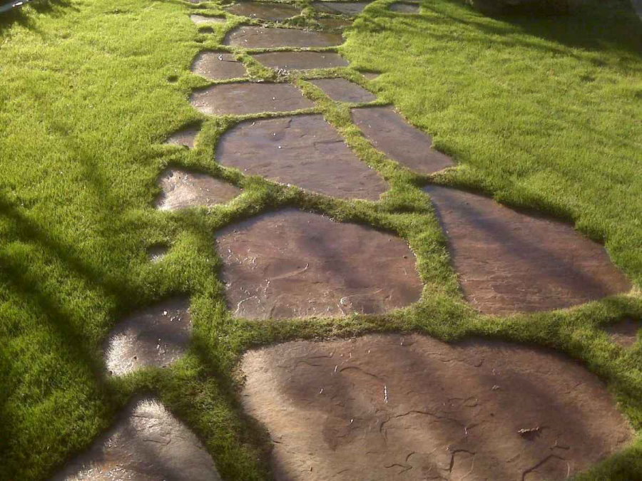 Каменная тропинка через дачный газон
