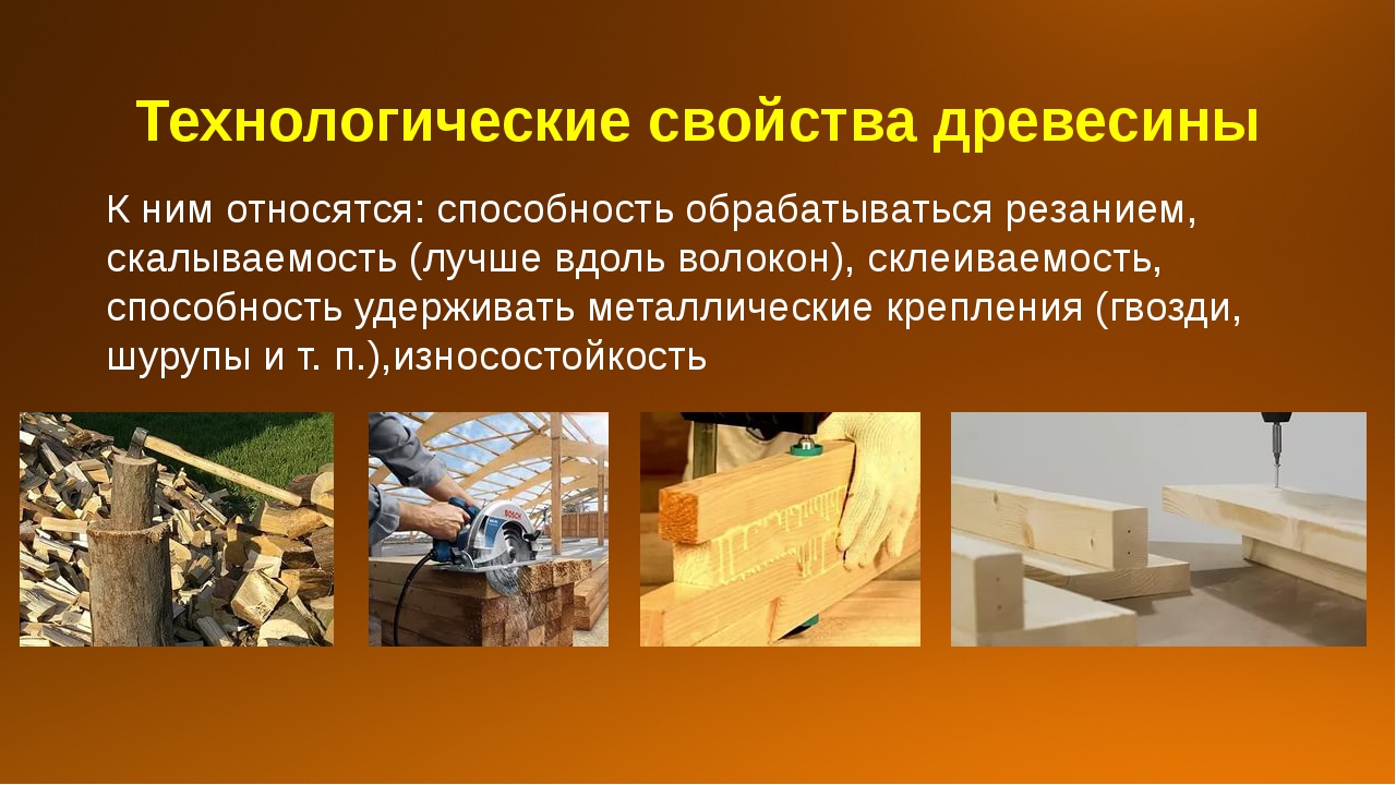 Технология обработки 5 класс. Свойства древесины. Технологические свойства древесины. Механические и технологические свойства древесины. Технологические процессы обработки дерева деревообработки.