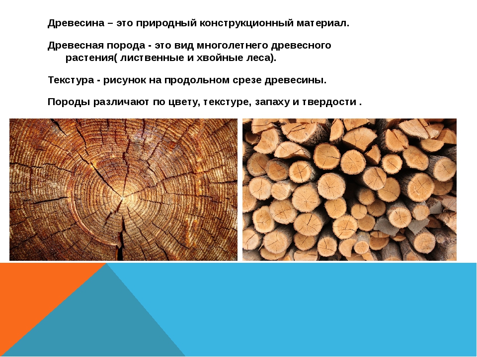 В древесину входят. Дерево конструкционный материал. Древесина. Природный конструкционный материал. Пиломатериалы конструкционные древесные материалы.