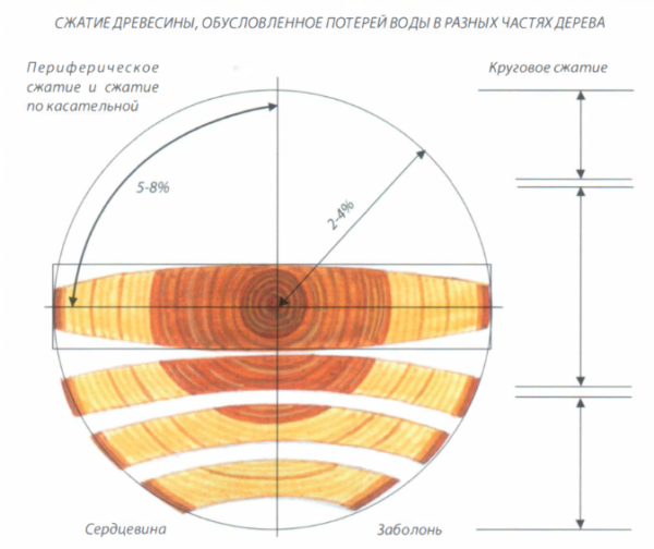 Мера усадки и деформации симметричной доски зависит от распиловки