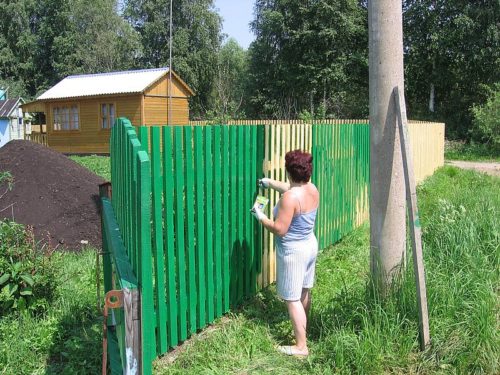 Женщина красит деревянный забор в зелёный цвет