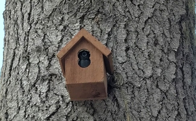 Hide Outdoor Security Camera in Birdhouse