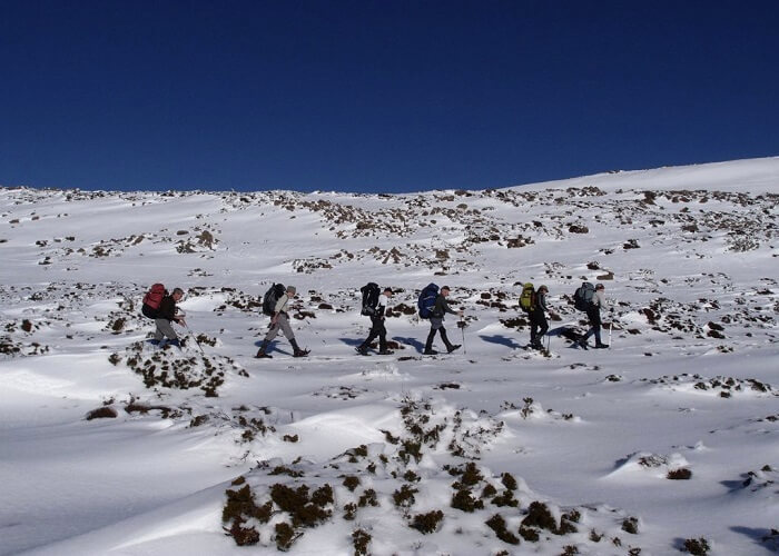 Snowshoe Trek On The Overland Track